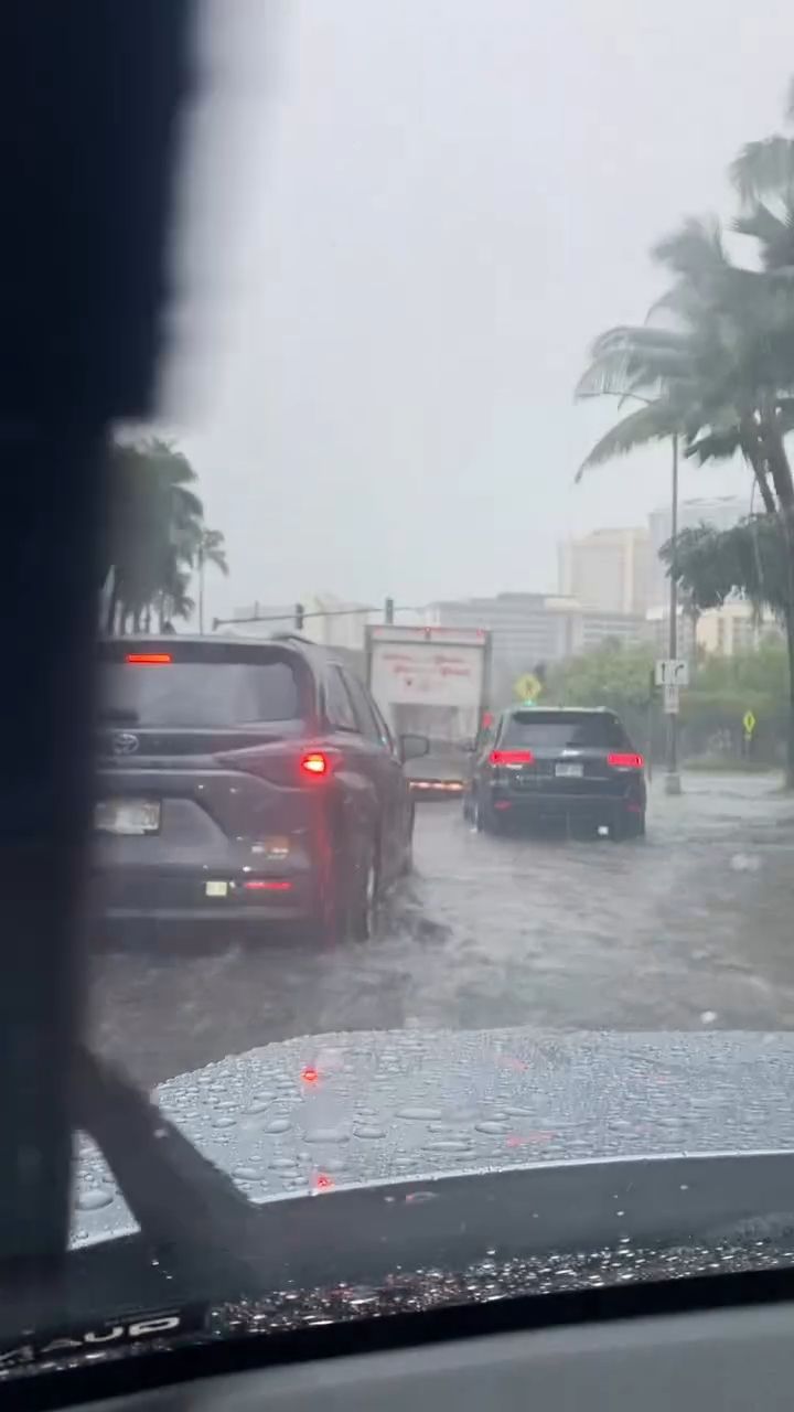 WEATHER ALERT - Waikiki | Stolen Stuff Hawaii