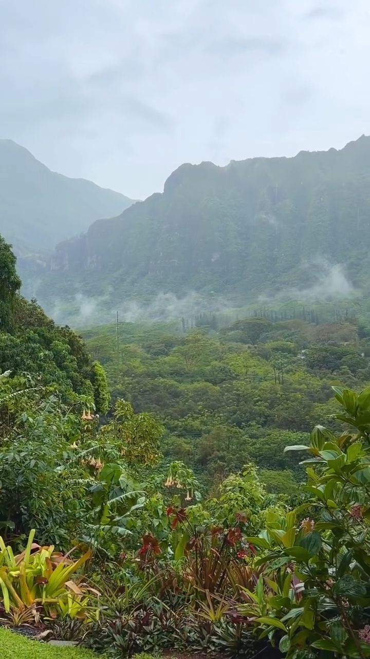 ALOHA - Oahu | Stolen Stuff Hawaii