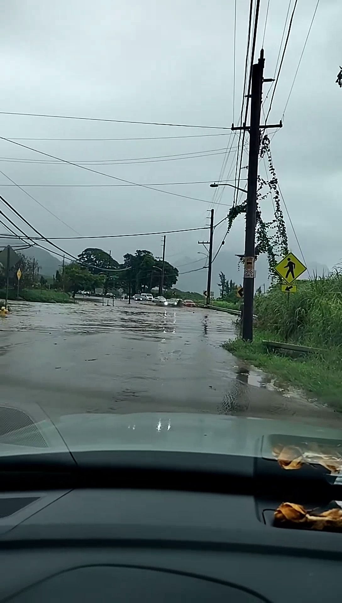 WEATHER ALERT - Waiahole Poi Factory | SSH Search