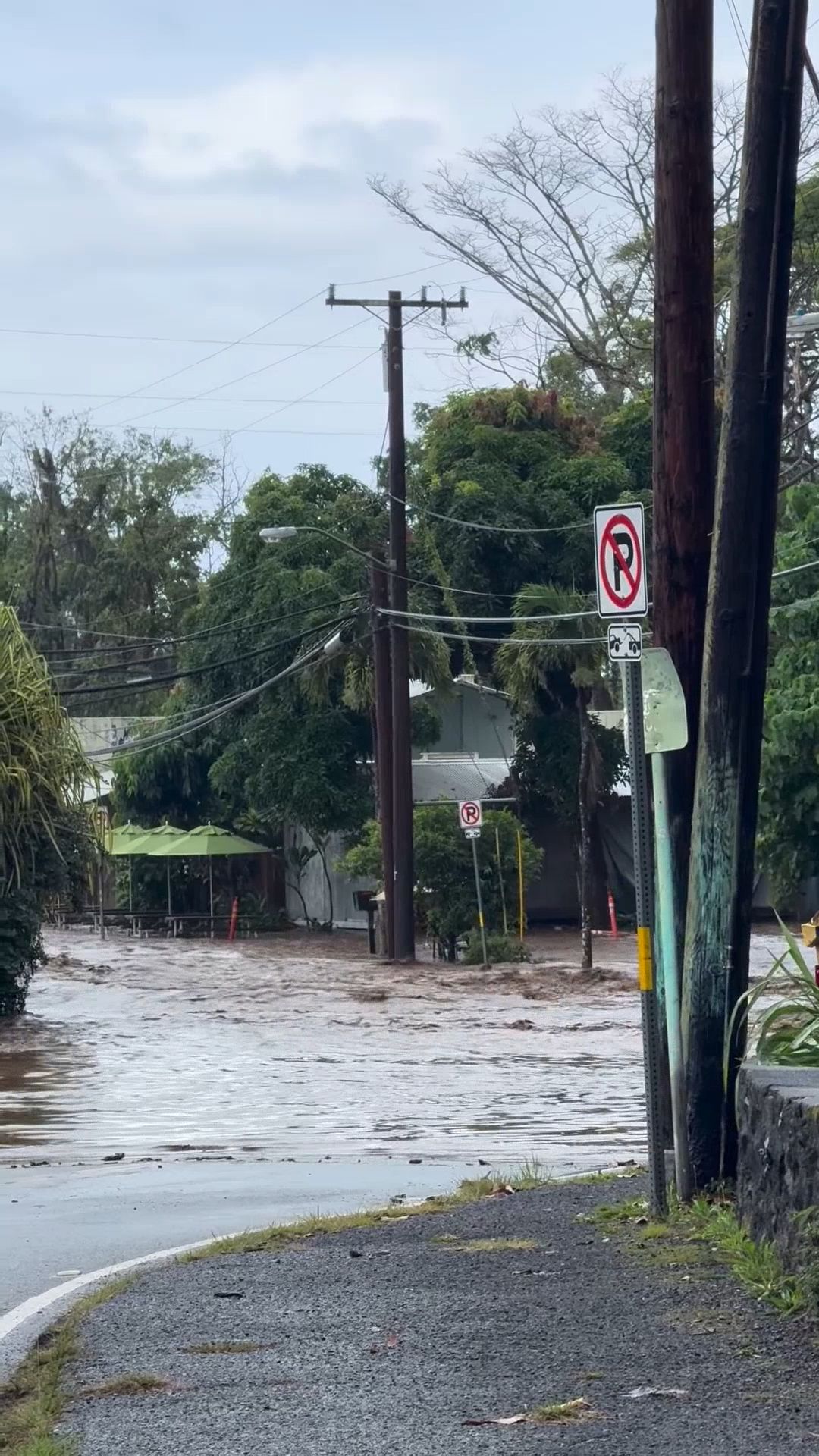 WEATHER ALERT - Waiahole Valley Road | SSH Search