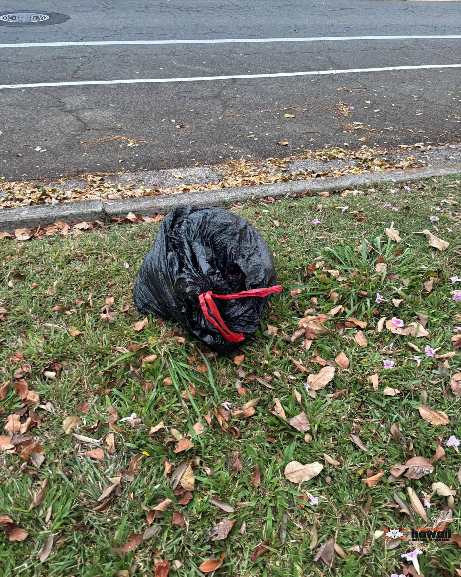 FOUND ITEM - Oahu | Stolen Stuff Hawaii