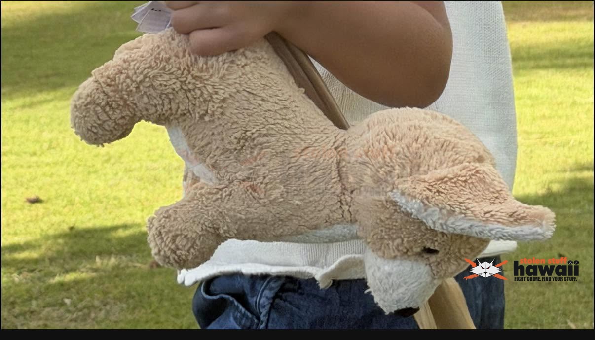 LOST ITEM - Oahu | Stolen Stuff Hawaii