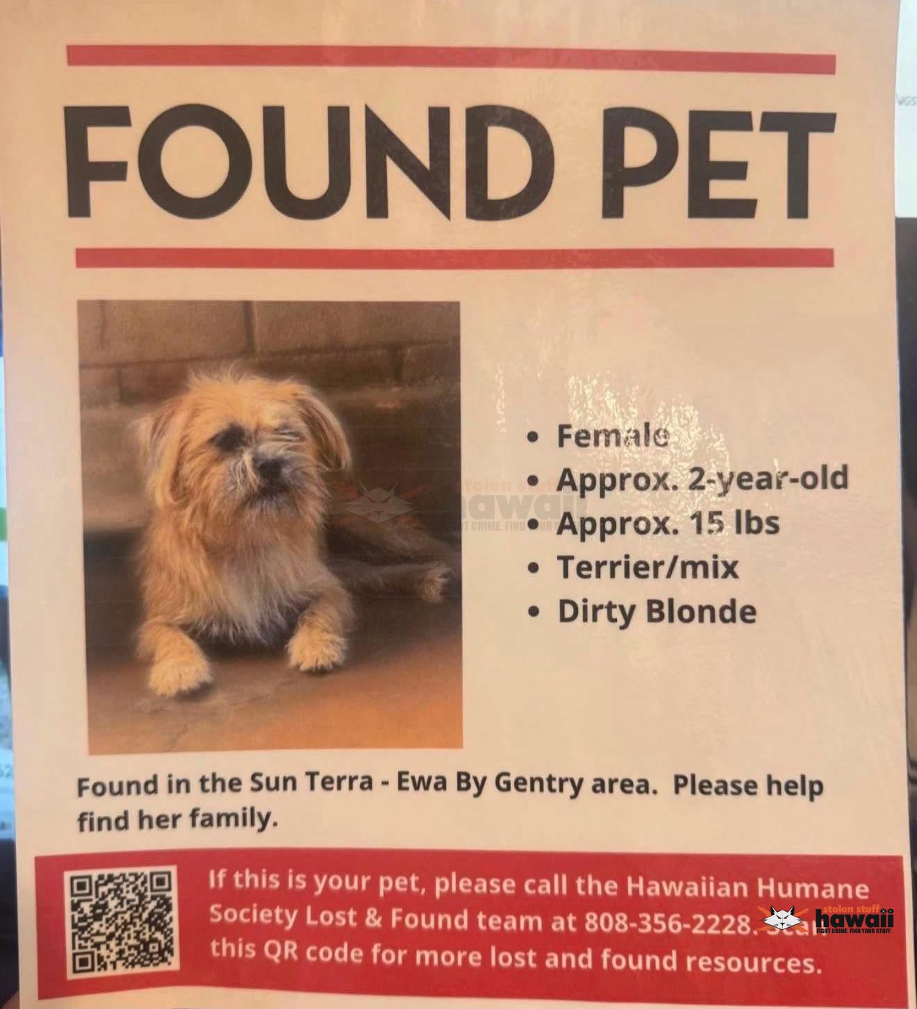 FOUND PET - Oahu | Stolen Stuff Hawaii