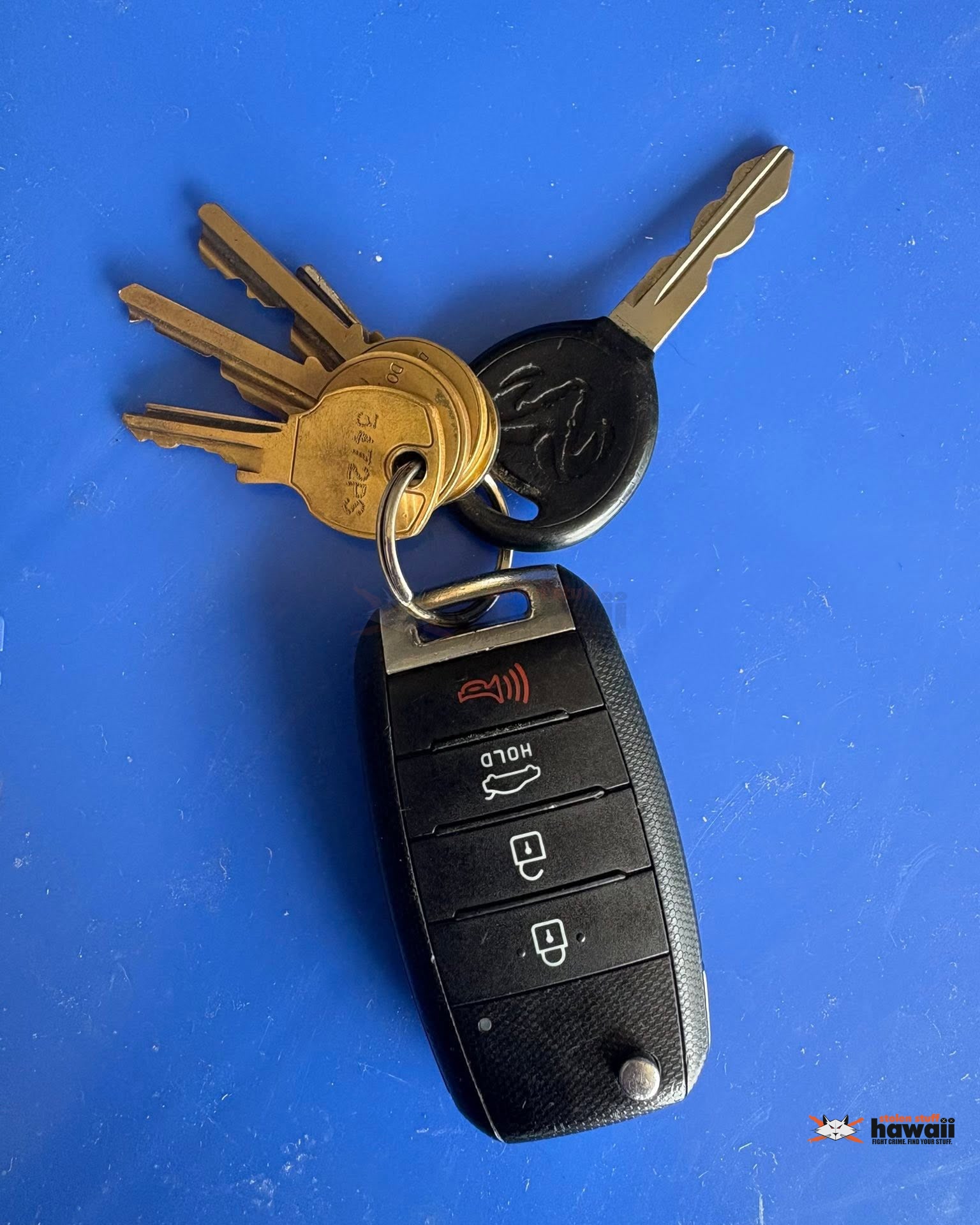 FOUND ITEM - Oahu | Stolen Stuff Hawaii