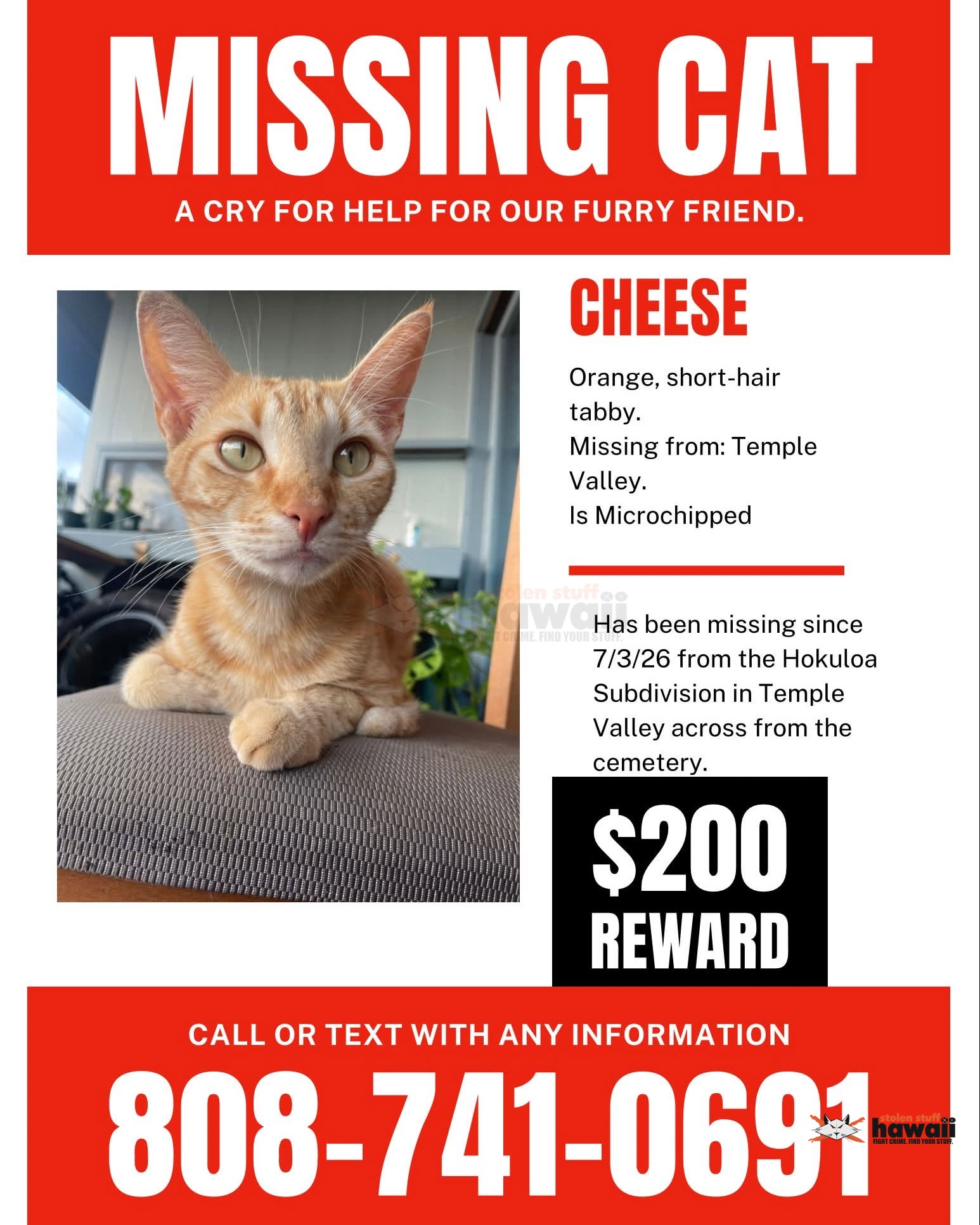 LOST PET - Oahu | Stolen Stuff Hawaii