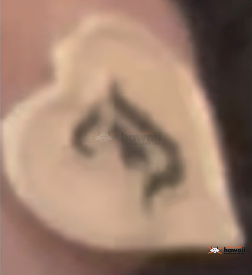 LOST ITEM - Unknown | Stolen Stuff Hawaii