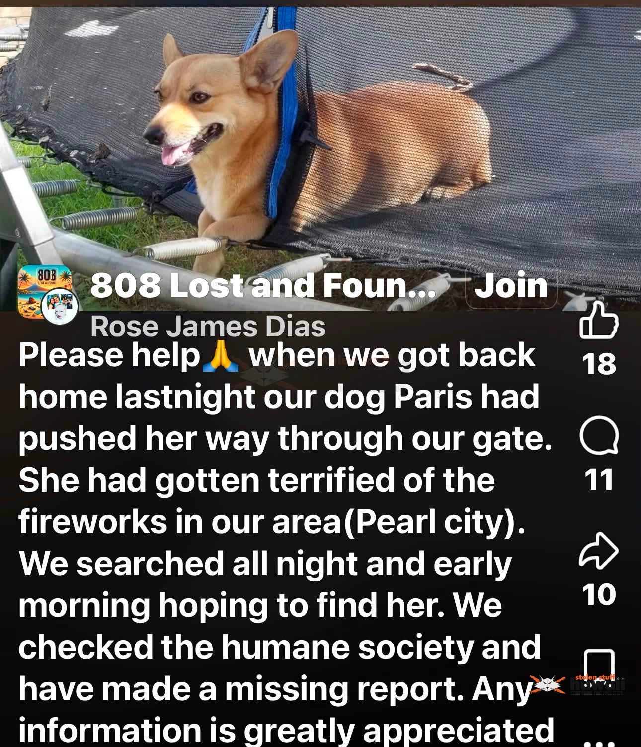 LOST PET - Oahu | Stolen Stuff Hawaii