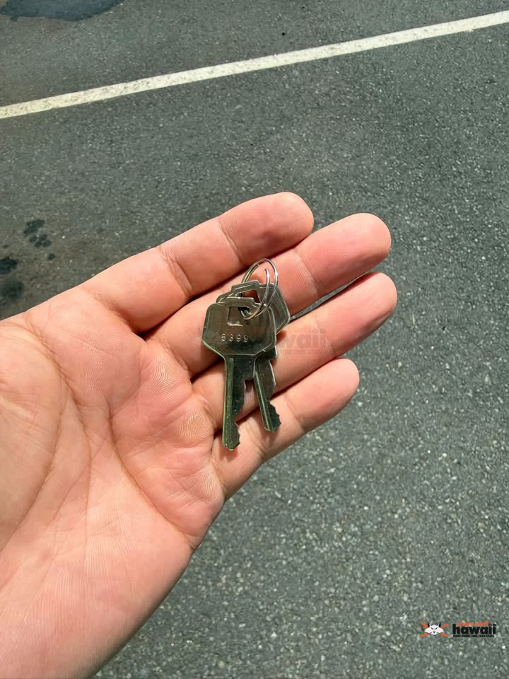 FOUND ITEM - D'lish parking area, Kailua, Oahu | Stolen Stuff Hawaii