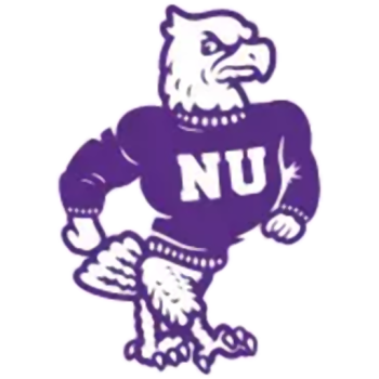 Niagara Purple Eagles