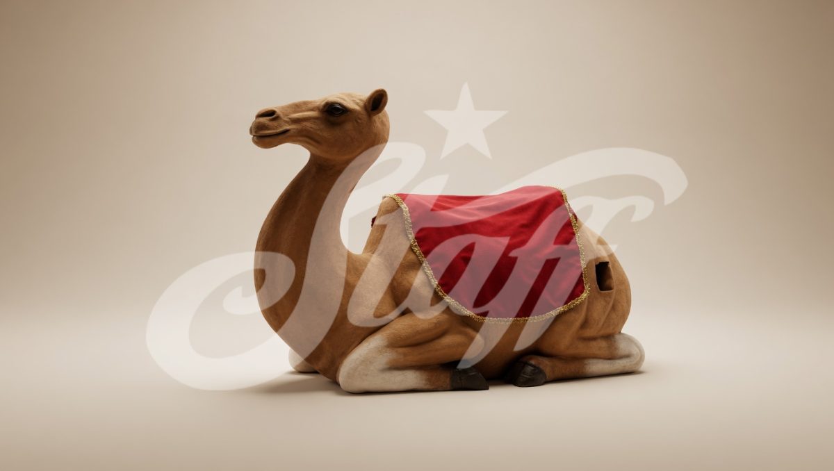 Camello acostado con silla decorativa