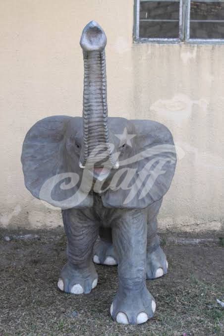Elefante Bebé Realista Safari