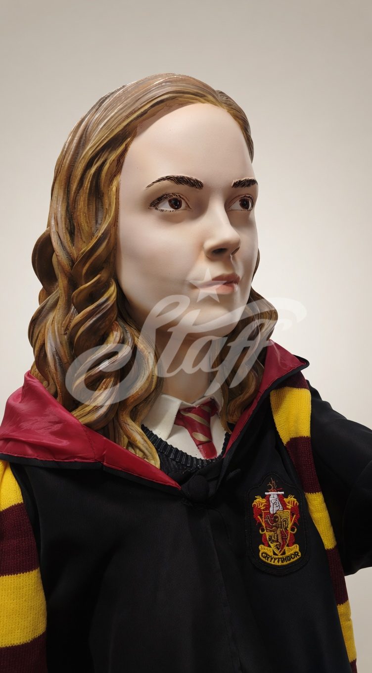Hermione Granger Gryffindor