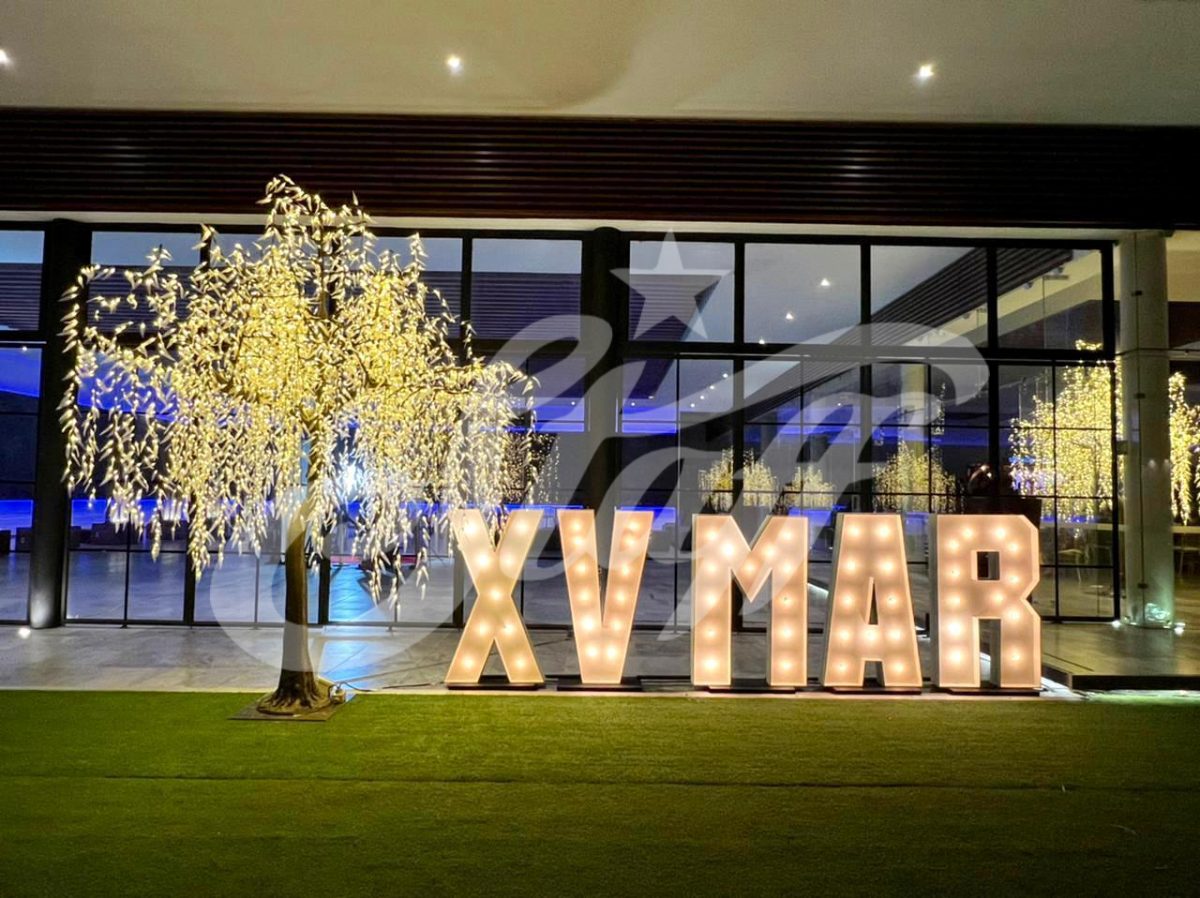Letras Iluminadas LED XV Años