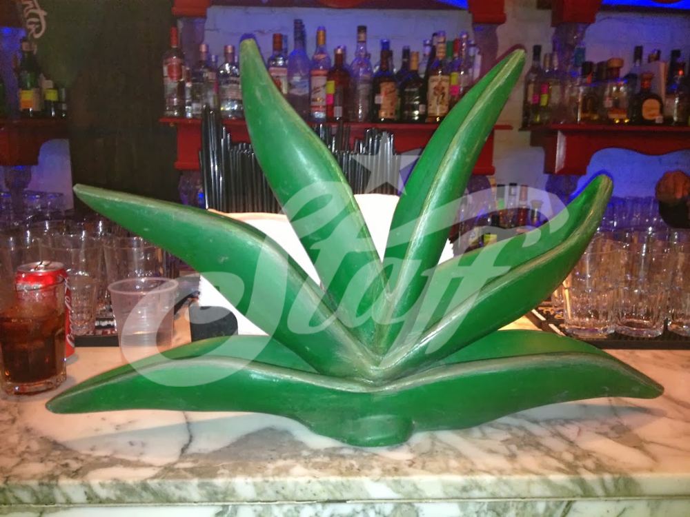 Maguey 