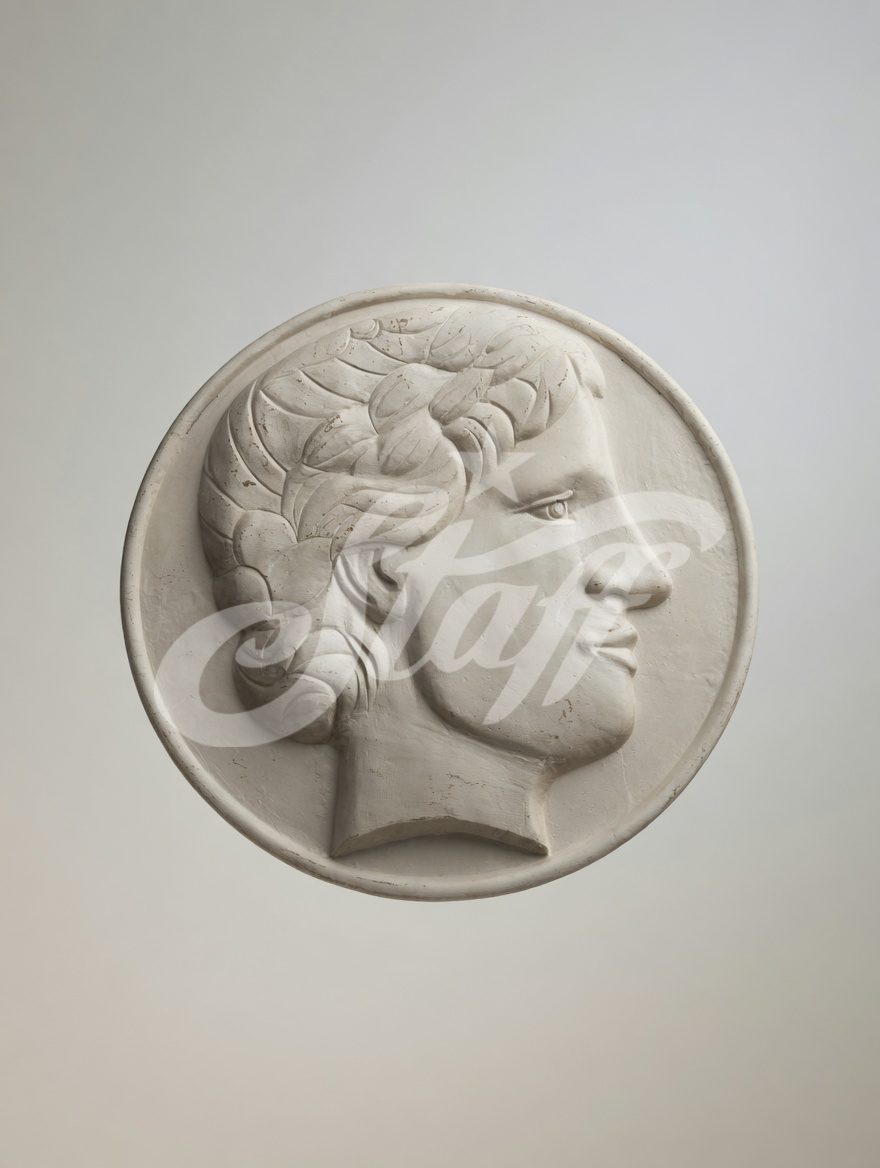 Medallón Relieve Perfil Clásico