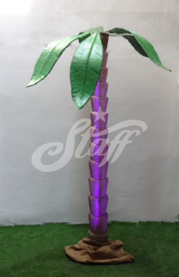 Palmera Tropical 