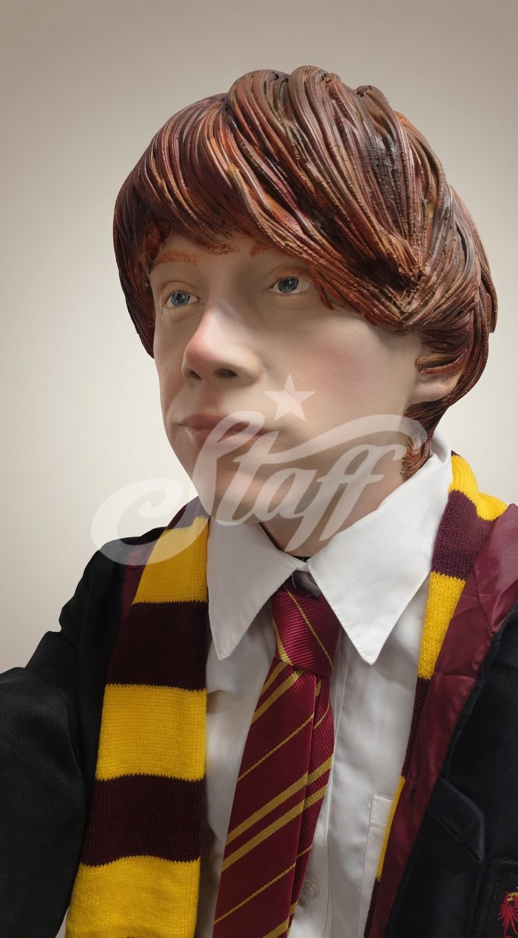 Ron Weasley Hogwarts