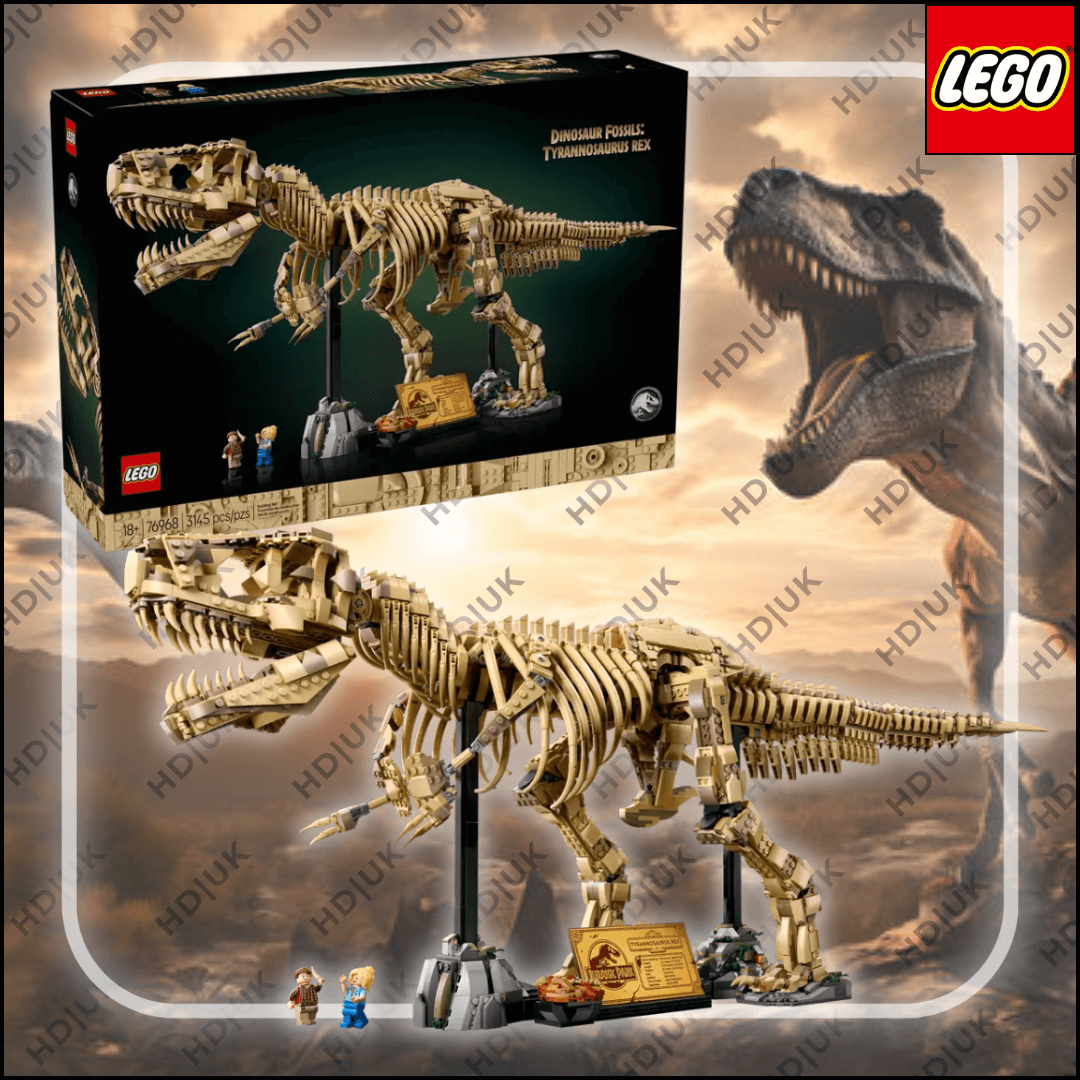Dinosaur Fossils: Tyrannosaurus Rex