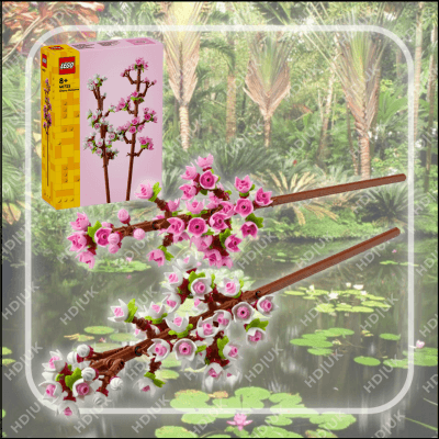 Cherry Blossoms (40725)