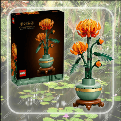 Chrysanthemum (10368)