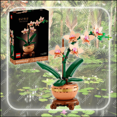 Mini Orchid (10343)