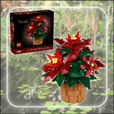 Poinsettia (10370)