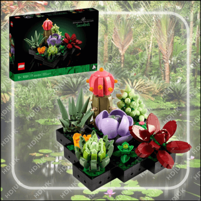 Succulents (10309)