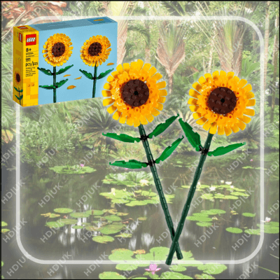 Sunflowers (40524)