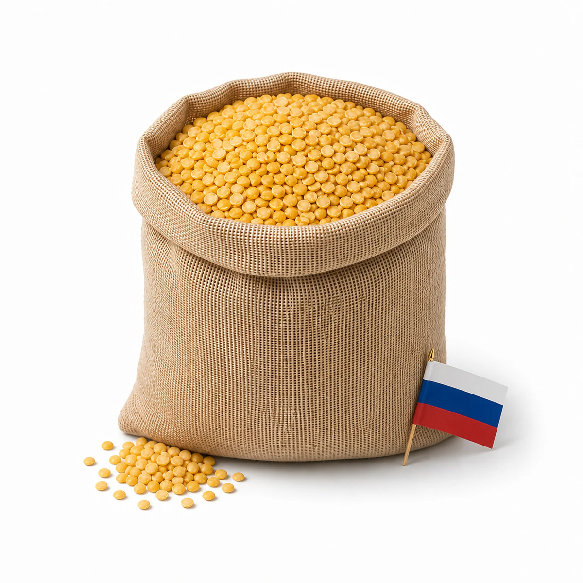 Горох российский