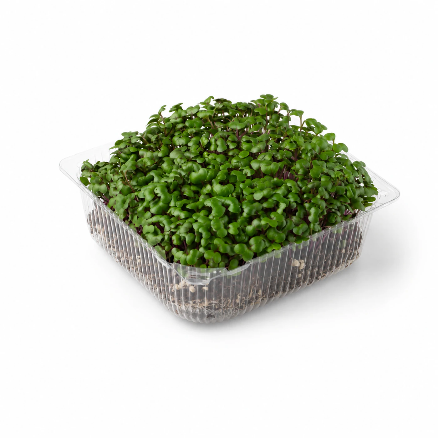 Микрозелень горчицы Novagreen, 1 шт.