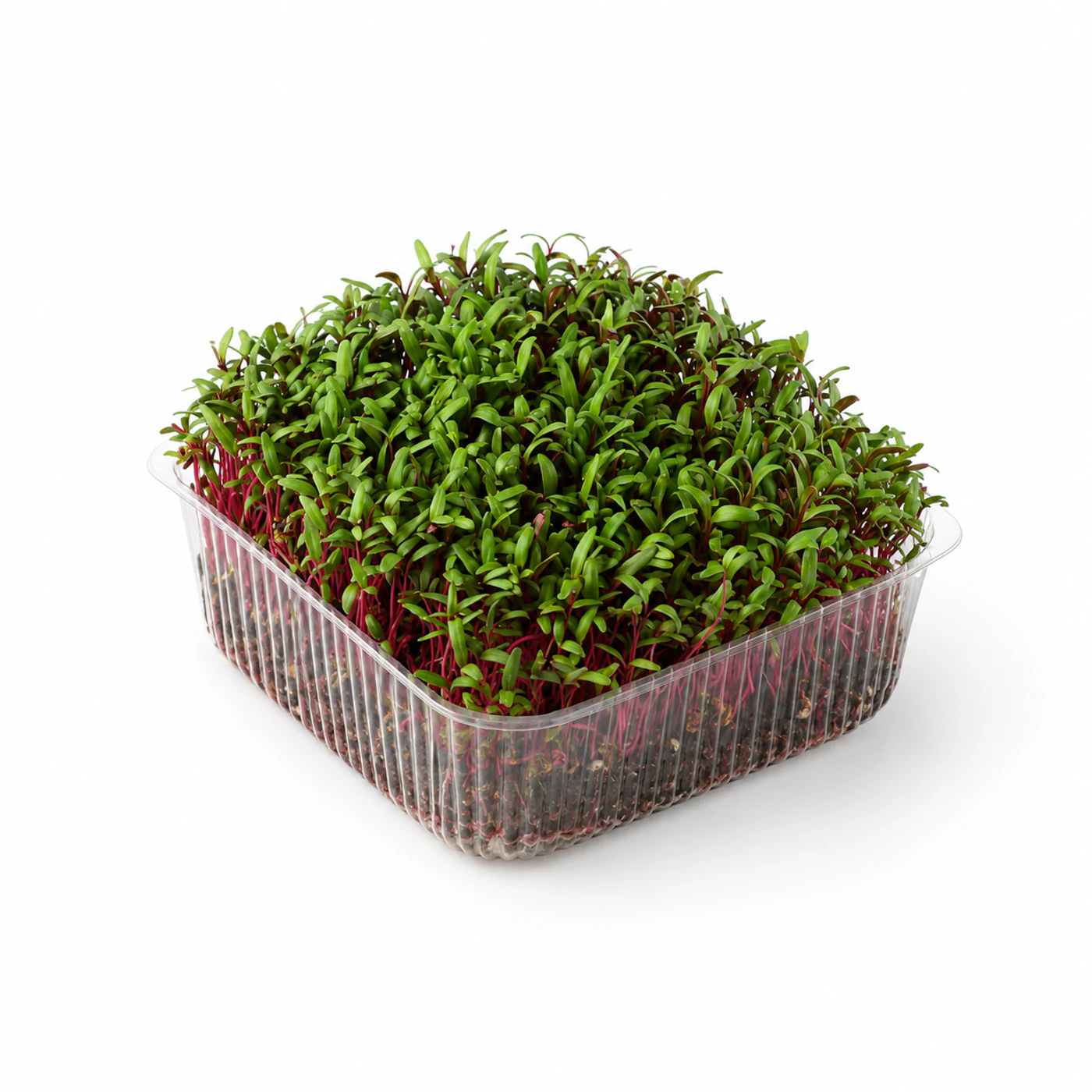 Микрозелень кресс-салата Novagreen, 1 шт.