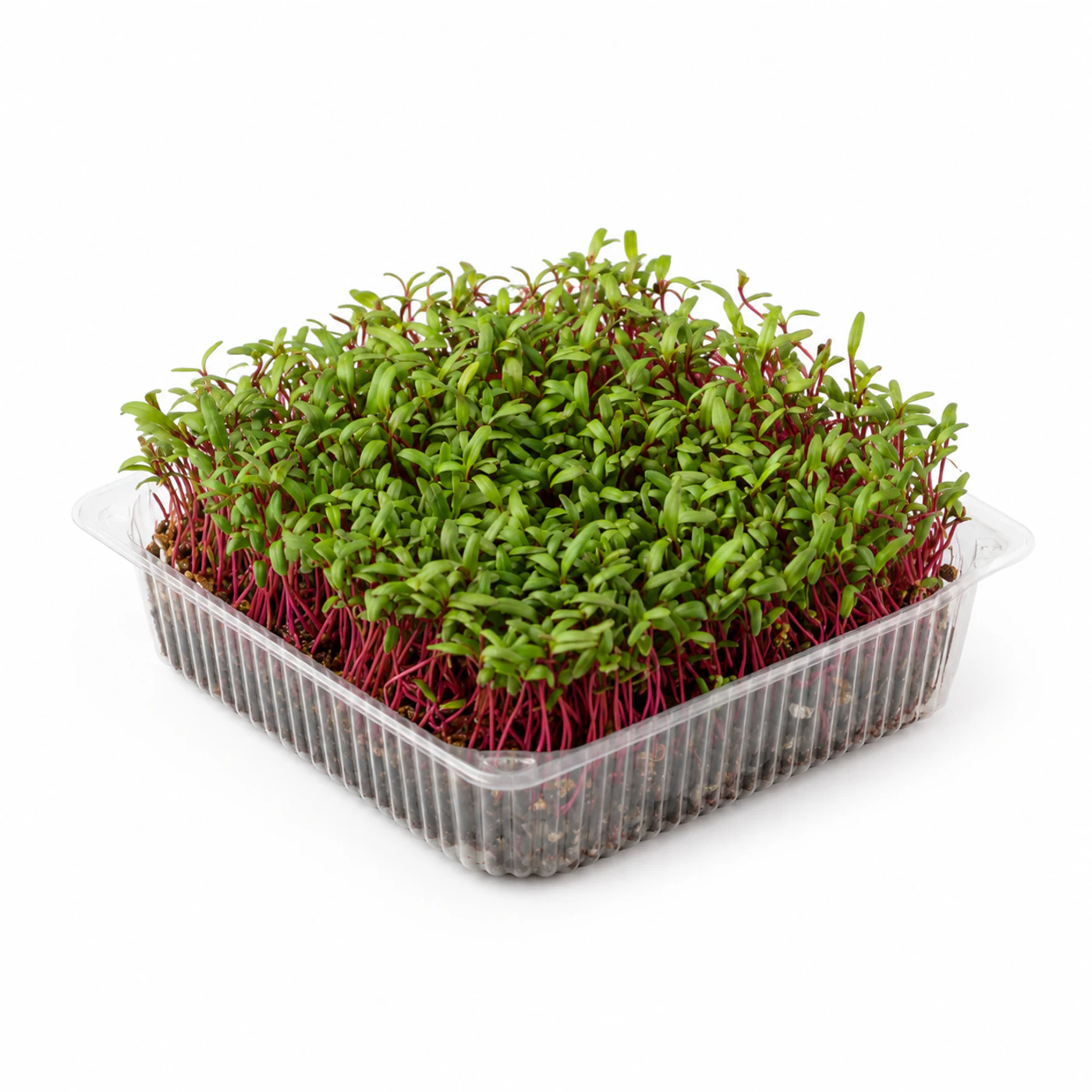 Микрозелень амаранта Novagreen, 1 шт.