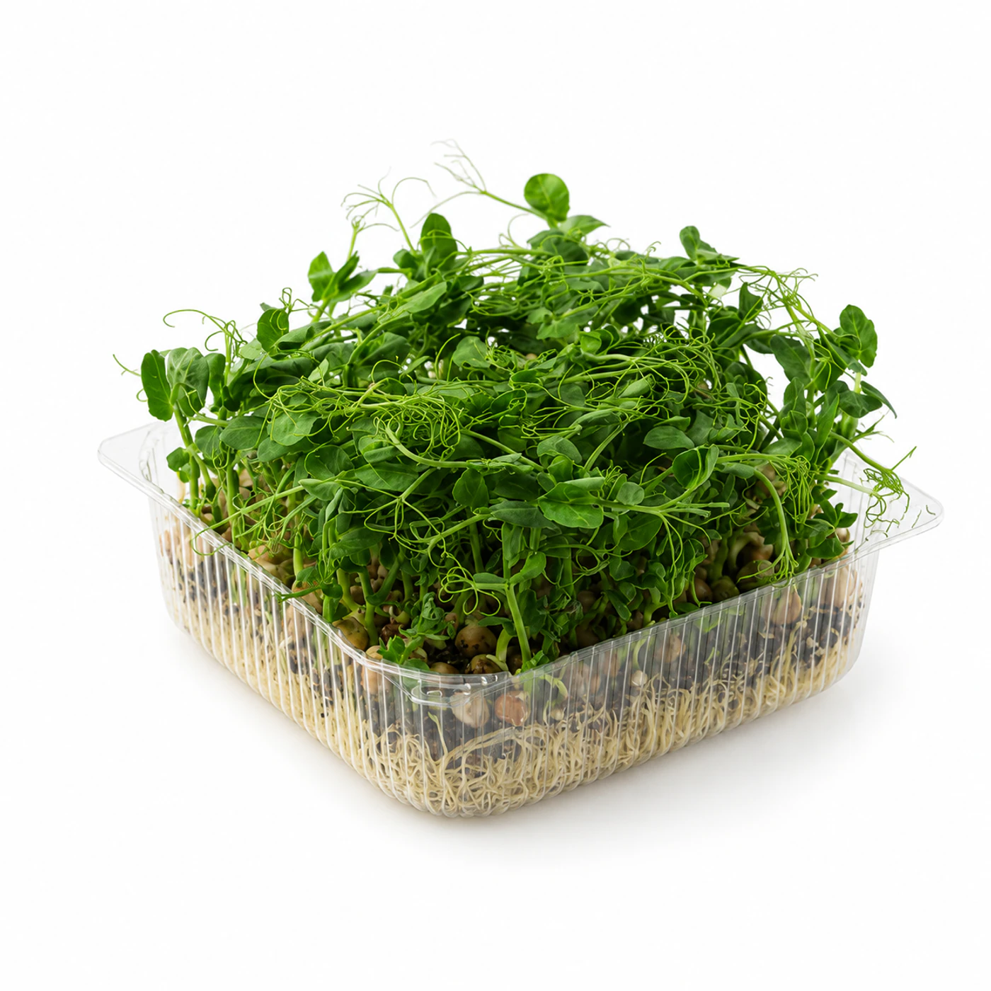 Микрозелень гороха Novagreen, 1 шт.