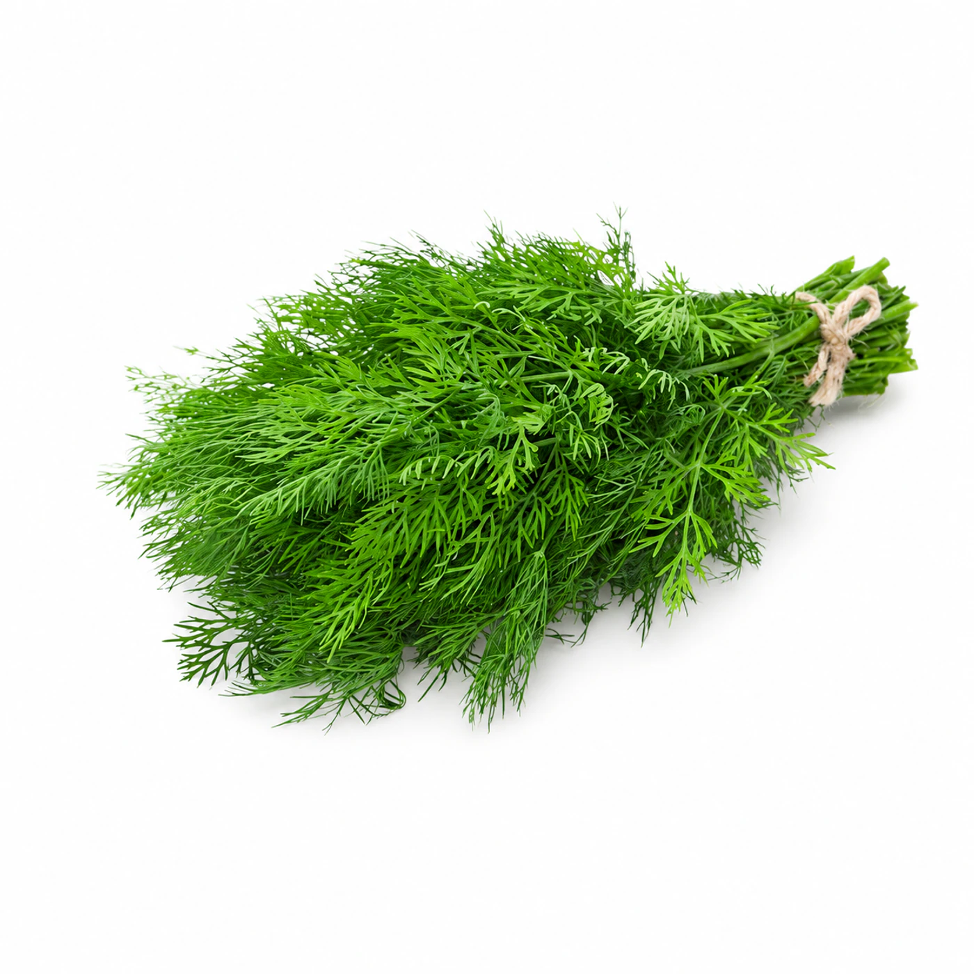 Укроп Novagreen