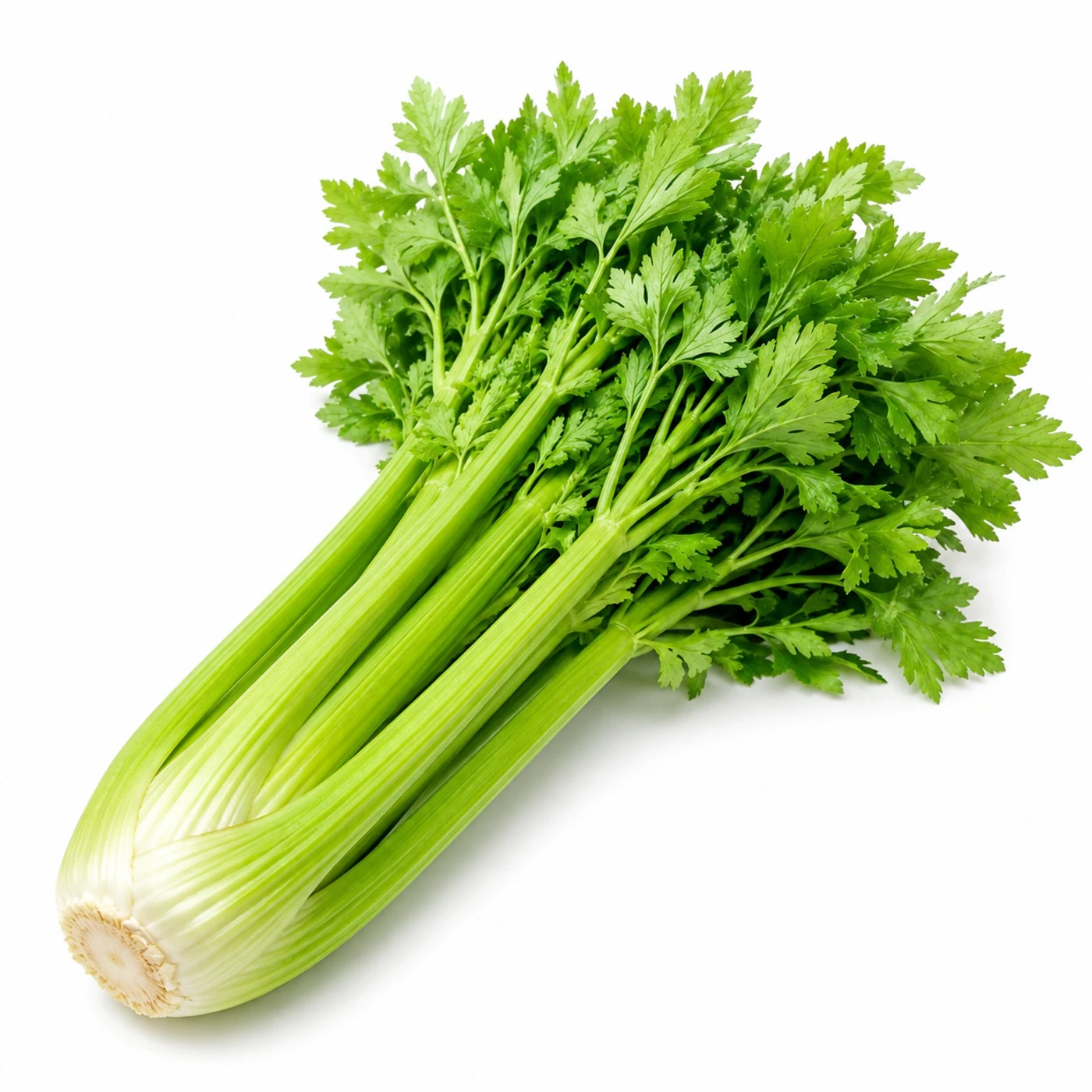 Стебель сельдерея Novagreen, 1 шт.