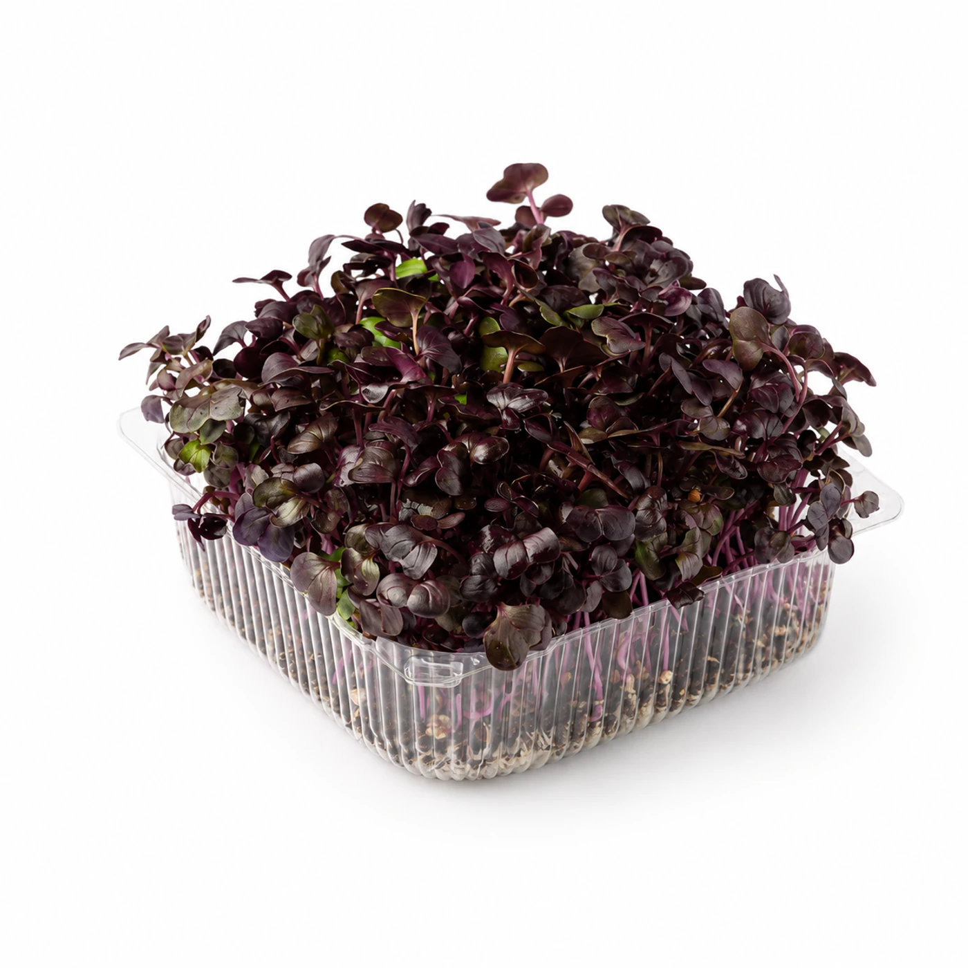 Микрозелень редиса Novagreen, 1 шт.