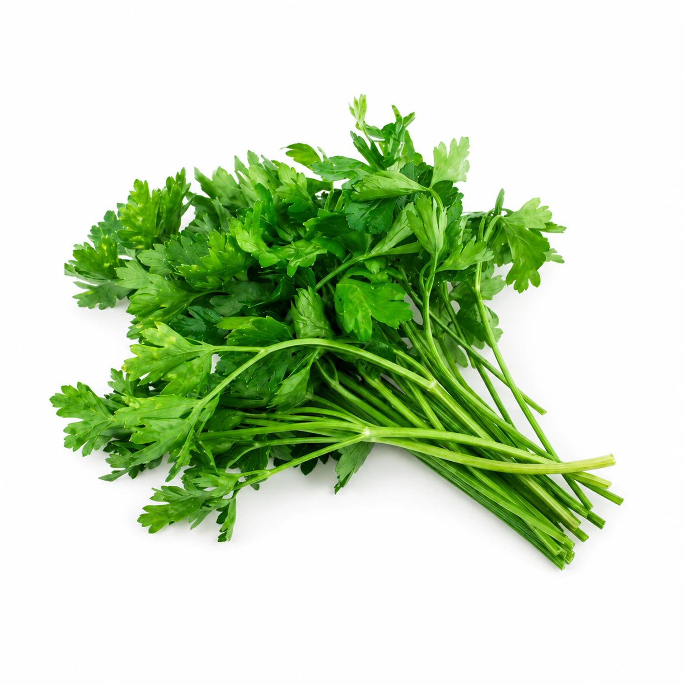 Петрушка Novagreen, 500 г