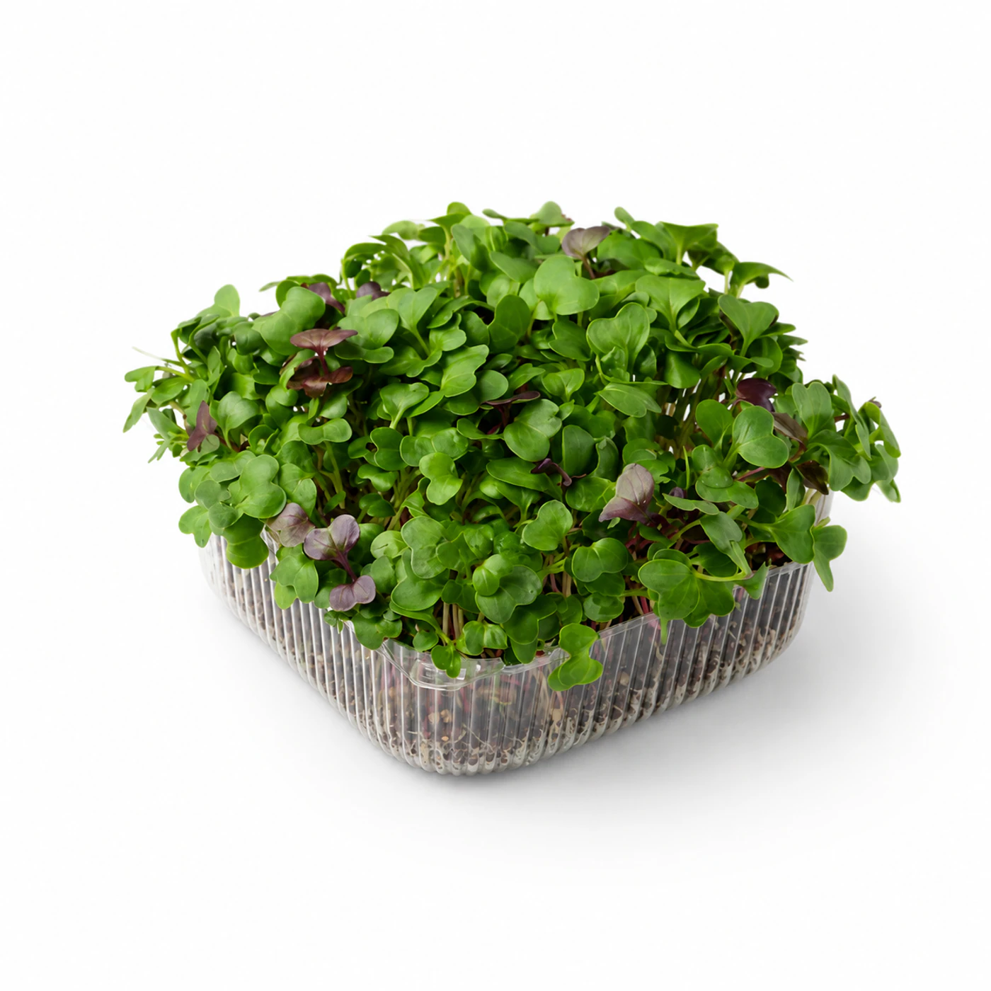 Микрозелень щавеля Novagreen, 1 шт.