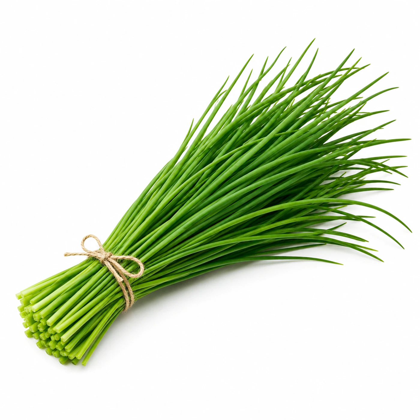 Лук барашек Novagreen, 500 г