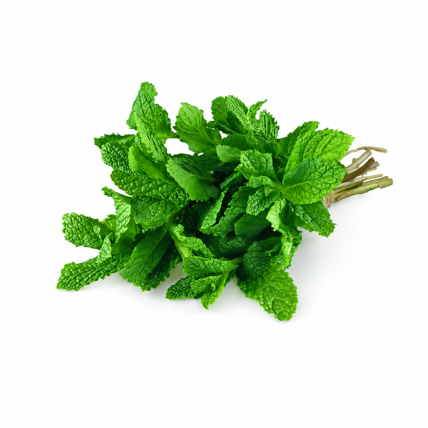 Мята Novagreen