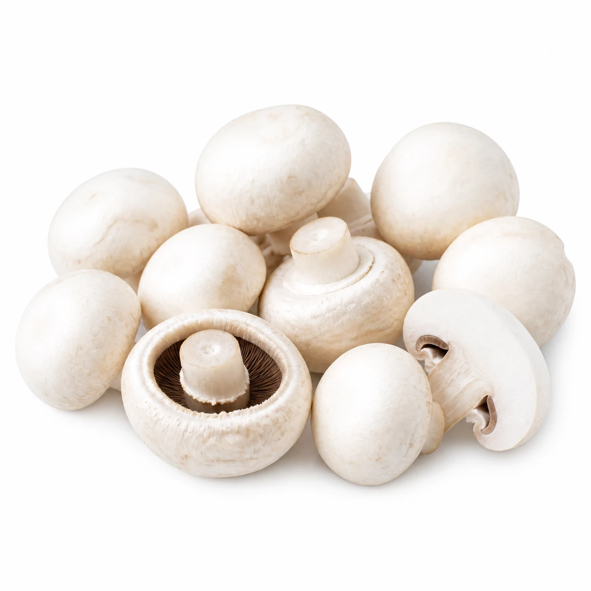 Champignons