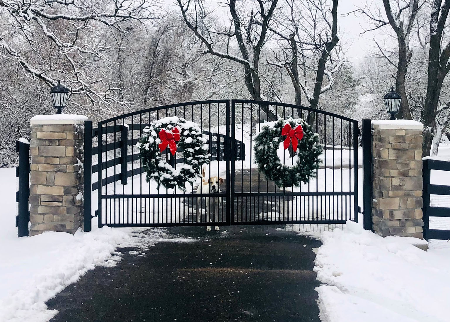 Customer-installed custom driveway gate 1