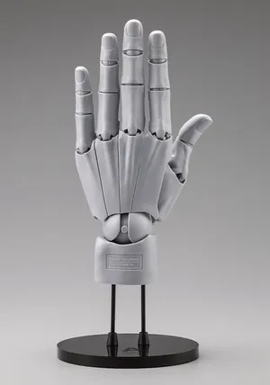 ARTIST SUPPORT ITEM - Hand Model Men's/L (Gray)