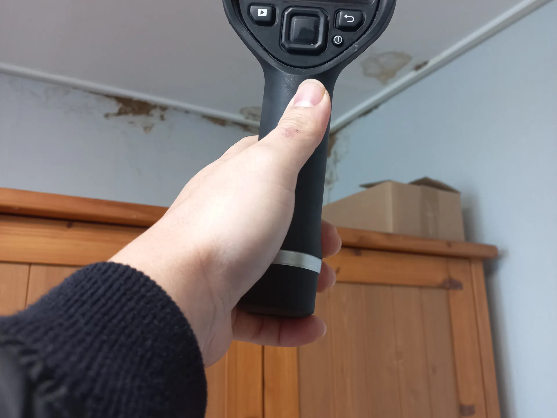 피해세대 확인