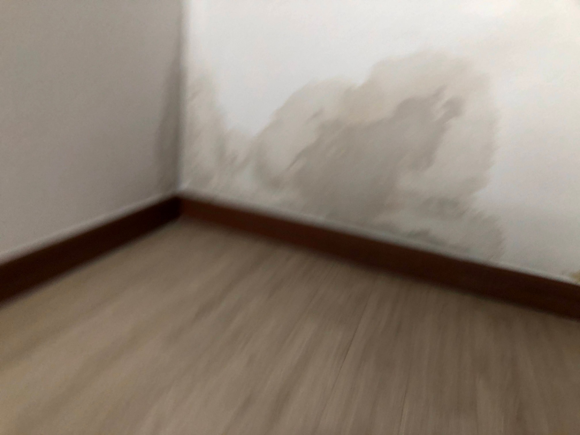 대전 유성구 자기집피해는 급배수투출특약으로 처리