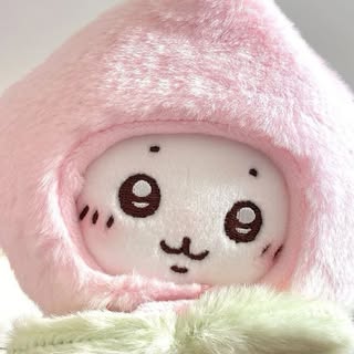 리냐🎀 프로필