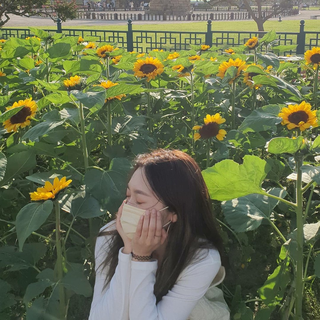 도희 프로필