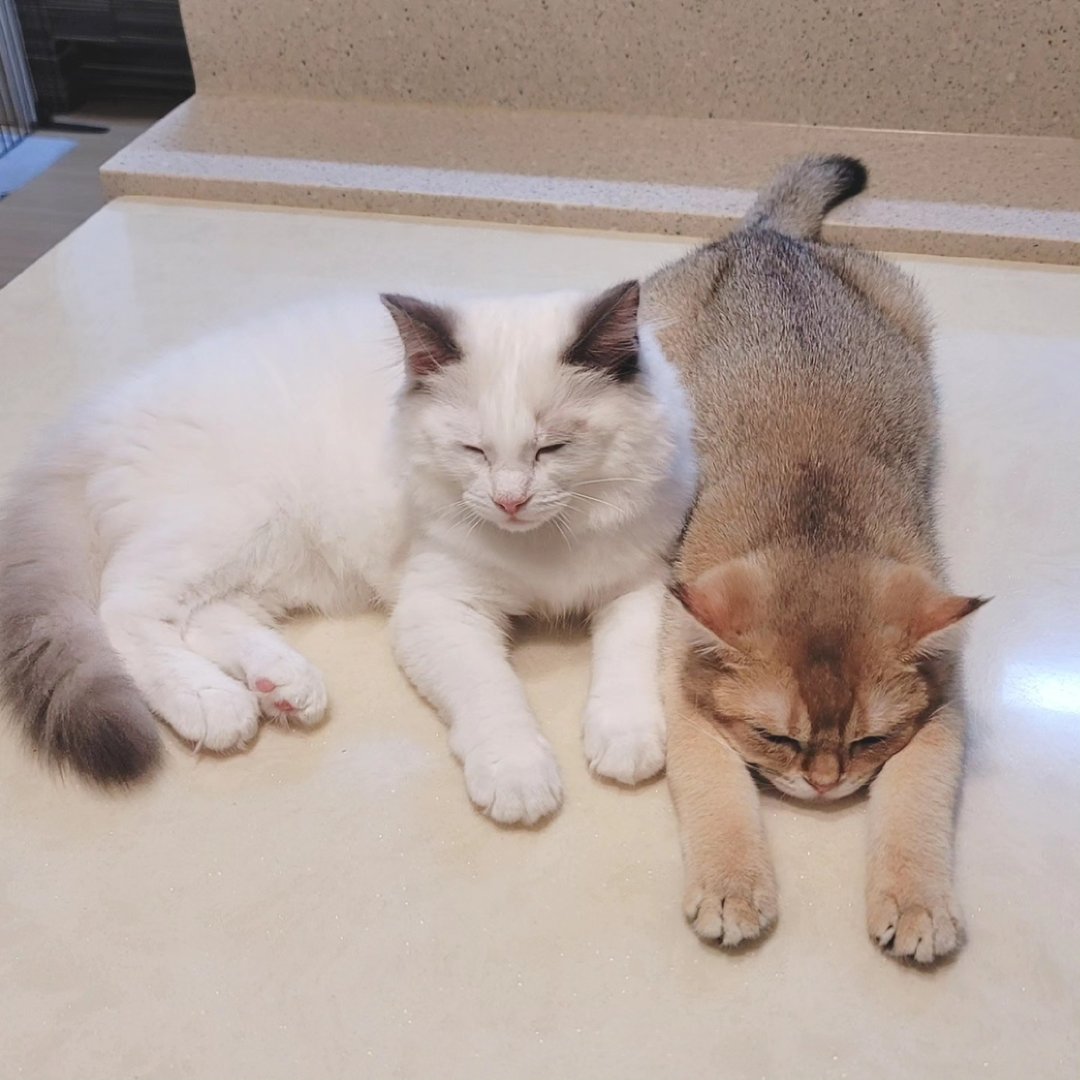  프로필