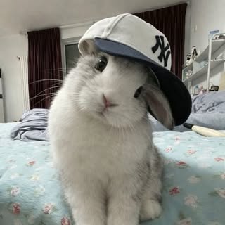 남다    영 프로필