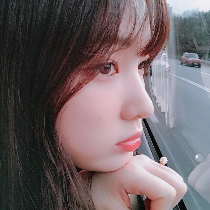 🐰🐱🐹 프로필